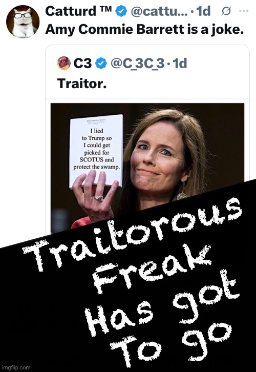 Judy Judas | Traitorous 
Freak
Has got
To go | image tagged in memes,rinos are worse than leftists,stabbed in the back is worse,sneaky lying enemies wear your teams uniform | made w/ Imgflip meme maker