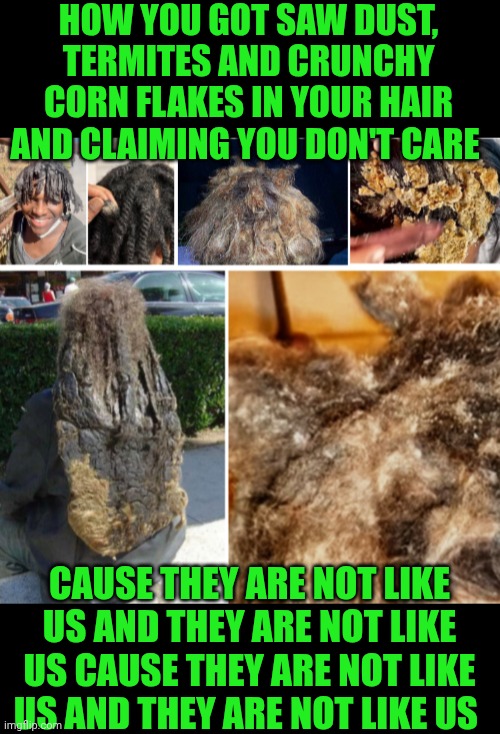 Funny | HOW YOU GOT SAW DUST, TERMITES AND CRUNCHY CORN FLAKES IN YOUR HAIR AND CLAIMING YOU DON'T CARE; CAUSE THEY ARE NOT LIKE US AND THEY ARE NOT LIKE US CAUSE THEY ARE NOT LIKE US AND THEY ARE NOT LIKE US | image tagged in funny,hair,care,dirty,hip hop,different | made w/ Imgflip meme maker
