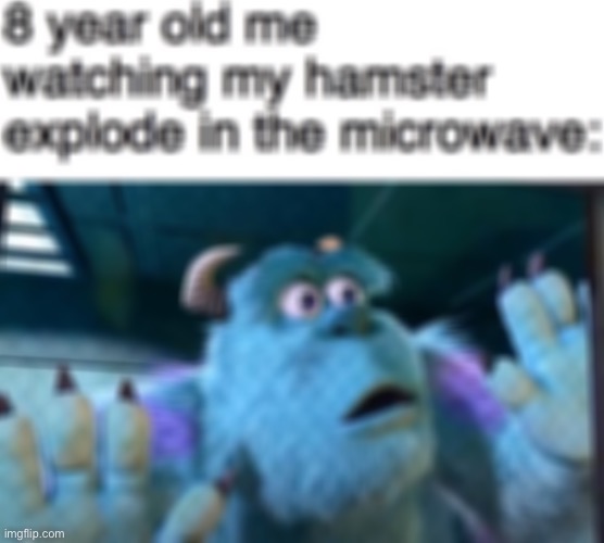 image tagged in hamster | made w/ Imgflip meme maker