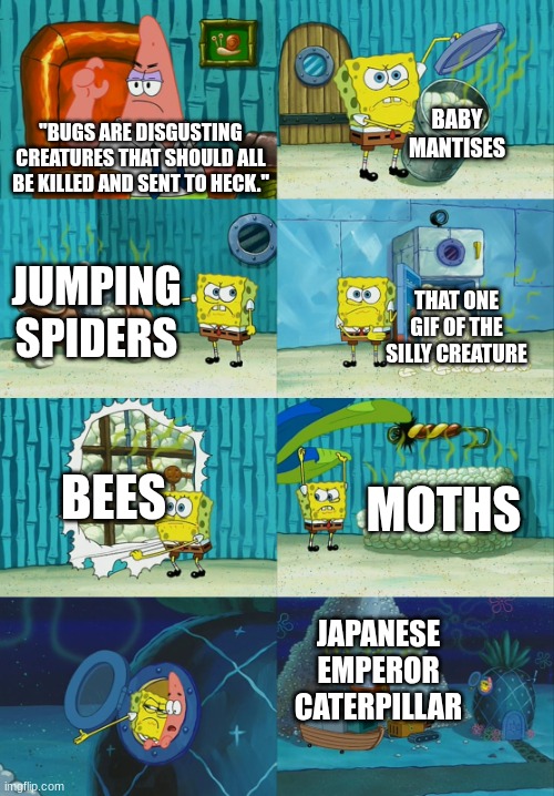 Spongebob diapers meme | BABY MANTISES; "BUGS ARE DISGUSTING CREATURES THAT SHOULD ALL BE KILLED AND SENT TO HECK."; JUMPING SPIDERS; THAT ONE GIF OF THE SILLY CREATURE; BEES; MOTHS; JAPANESE EMPEROR CATERPILLAR | image tagged in spongebob diapers meme | made w/ Imgflip meme maker