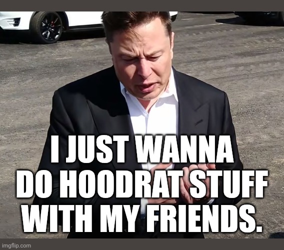 Melon Husk | I JUST WANNA DO HOODRAT STUFF WITH MY FRIENDS. | image tagged in melon husk | made w/ Imgflip meme maker