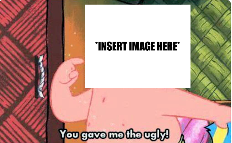 You Gave Me The Ugly Blank Meme Template