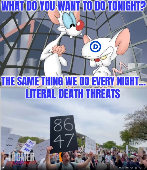 These paid people (many smiling)  pick up Soros backed organizers' finished signs | WHAT DO YOU WANT TO DO TONIGHT? THE SAME THING WE DO EVERY NIGHT... | image tagged in democrats,pinky and the brain,american politics | made w/ Imgflip meme maker