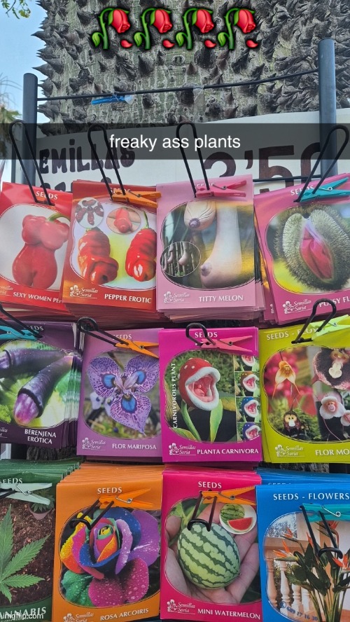 🥀🥀🥀🥀 | made w/ Imgflip meme maker