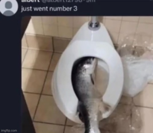 Hate it when that happens | image tagged in fishg,fihf,fibh,fish | made w/ Imgflip meme maker