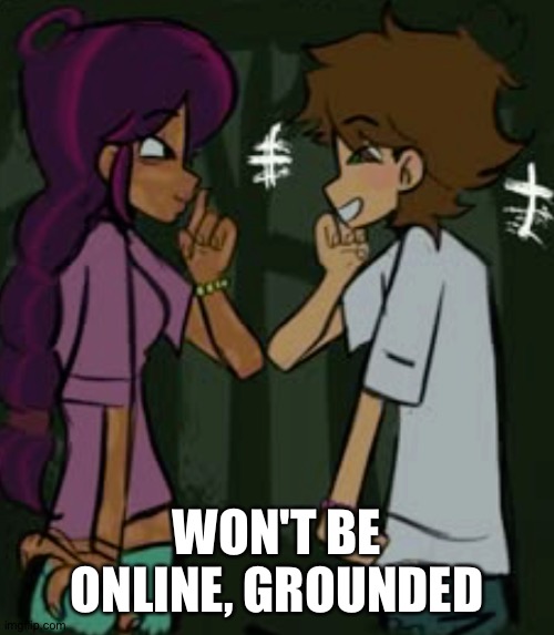 total drama | WON'T BE ONLINE, GROUNDED | image tagged in total drama | made w/ Imgflip meme maker
