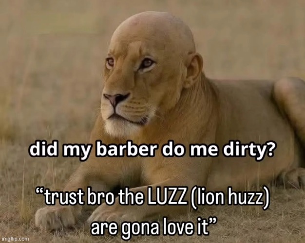 The lion has received a buzz cut. | made w/ Imgflip meme maker