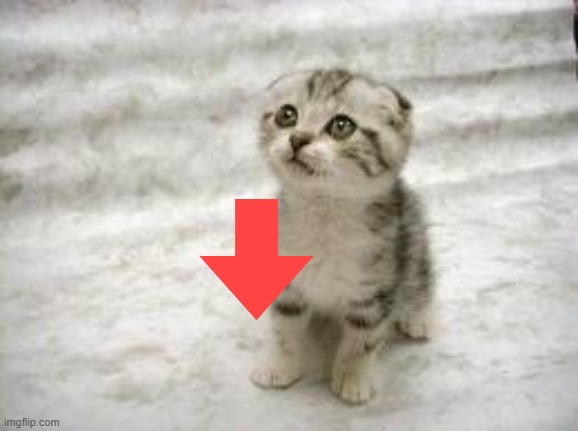 Sad Cat Meme | image tagged in memes,sad cat | made w/ Imgflip meme maker