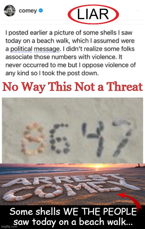 Former FBI Director does not know what '86' means? Impossible! | LIAR; No Way This Not a Threat; Some shells WE THE PEOPLE
saw today on a beach walk... | image tagged in james comey,fbi,threat,donald trump,assassination,arrest | made w/ Imgflip meme maker