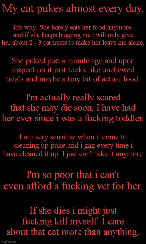 I don't know what to do anymore. I'm losing my fucking mind. | My cat pukes almost every day. Idk why. She barely eats her food anymore, and if she keeps bugging me i will only give her about 2 - 3 cat treats to make her leave me alone. She puked just a minute ago and upon inspection it just looks like unchewed treats and maybe a tiny bit of actual food. I'm actually really scared that she may die soon. I have had her ever since i was a fucking toddler. I am very sensitive when it come to cleaning up puke and i gag every time i have cleaned it up. I just can't take it anymore; I'm so poor that i can't even afford a fucking vet for her. If she dies i might just fucking kill myself. I care about that cat more than anything. | image tagged in memes,blank transparent square | made w/ Imgflip meme maker