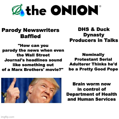 The Onion | "How can you parody the news when even the Wall Street Journal's headlines sound like something out of a Marx Brothers' movie?" DHS & Duck D | image tagged in the onion | made w/ Imgflip meme maker
