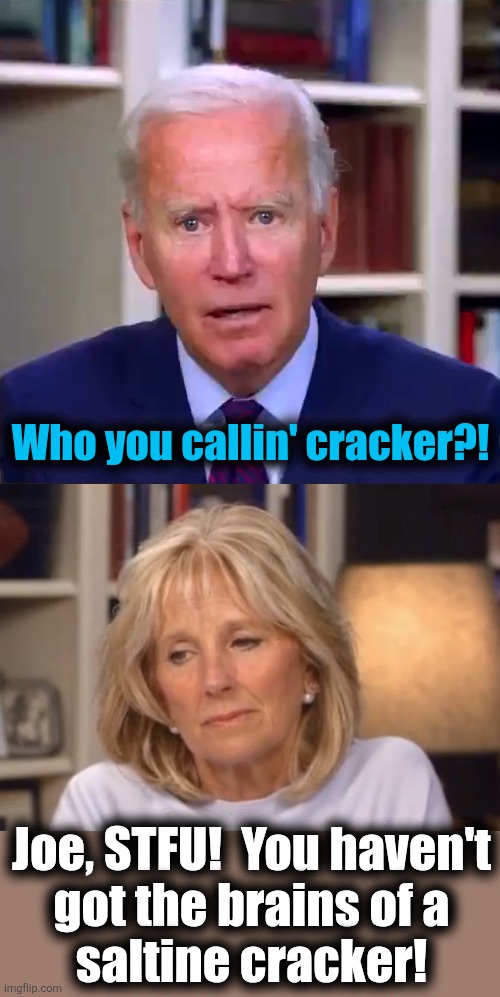 Joe, STFU!  You haven't
got the brains of a
saltine cracker! Who you callin' cracker?! | image tagged in slow joe biden dementia face,jill biden meme | made w/ Imgflip meme maker