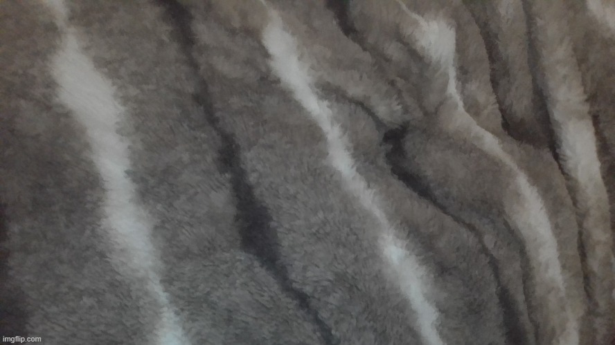 blanket reveal | image tagged in hi | made w/ Imgflip meme maker