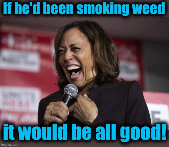 Kamala laughing | If he'd been smoking weed it would be all good! | image tagged in kamala laughing | made w/ Imgflip meme maker
