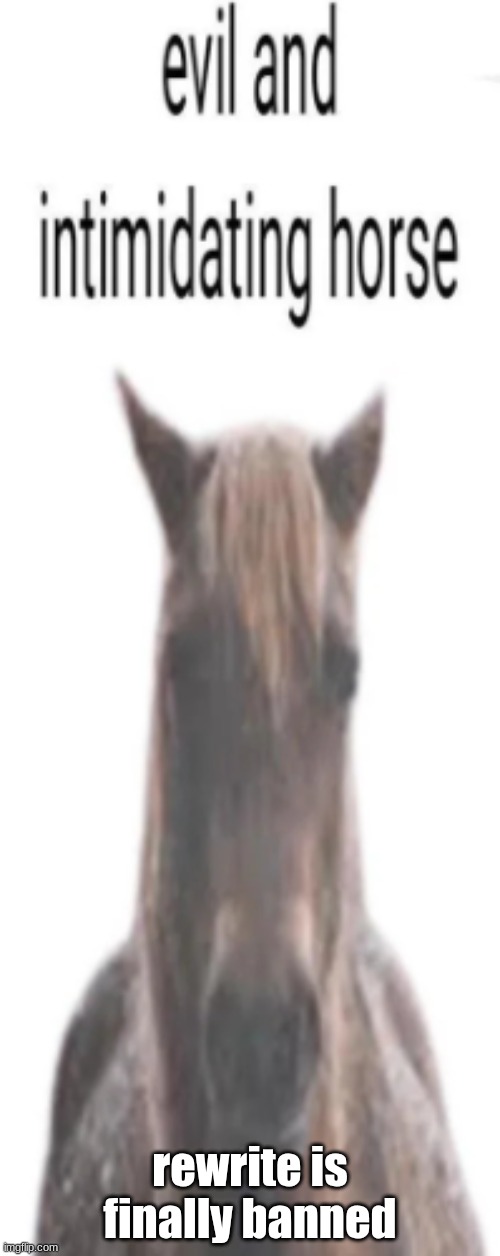 evil and intimidating horse | rewrite is finally banned | image tagged in evil and intimidating horse | made w/ Imgflip meme maker