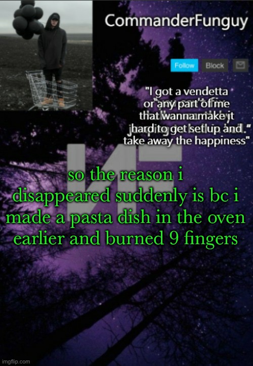 im a little better now | so the reason i disappeared suddenly is bc i made a pasta dish in the oven earlier and burned 9 fingers | image tagged in commanderfunguy nf template thx yachi | made w/ Imgflip meme maker
