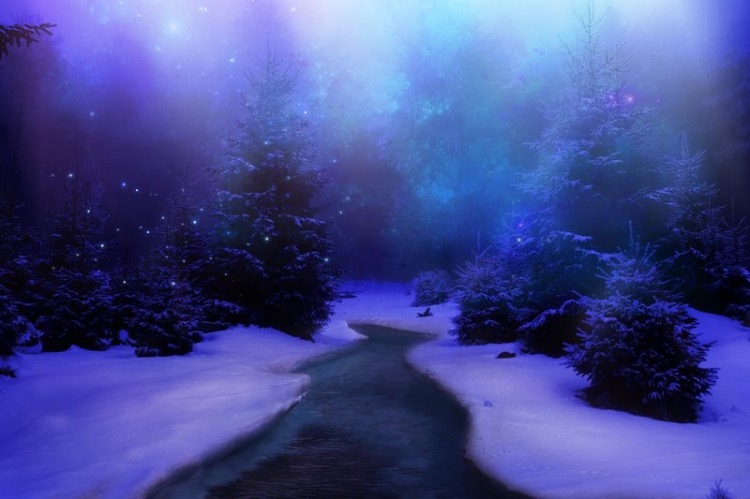 Gorgeous Purple Winter Wonder Forest | image tagged in gorgeous,winter,snow,aesthetic,night,purple | made w/ Imgflip meme maker