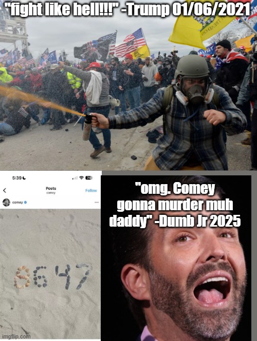 seashell assassin | "fight like hell!!!" -Trump 01/06/2021; "omg. Comey gonna murder muh daddy" -Dumb Jr 2025 | made w/ Imgflip meme maker