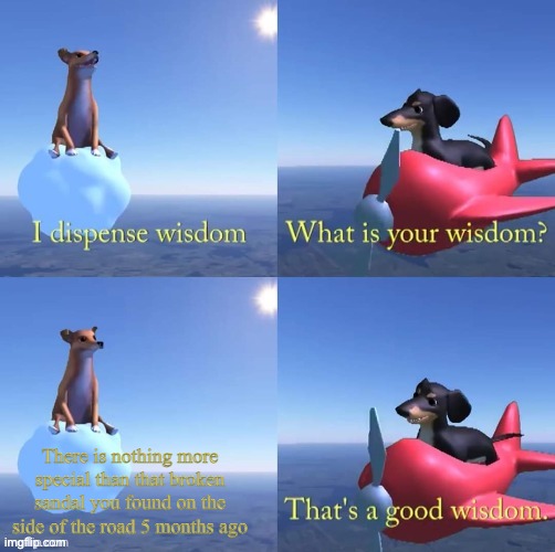 Dogs be like | There is nothing more special than that broken sandal you found on the side of the road 5 months ago | image tagged in wisdom dog | made w/ Imgflip meme maker