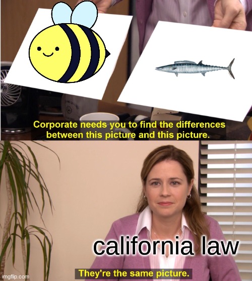 I don't understand | california law | image tagged in memes,they're the same picture | made w/ Imgflip meme maker