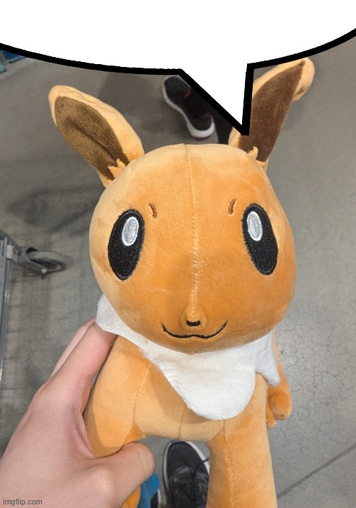 template | image tagged in memes,meme,pokemon,new template,eevee,pokemon memes | made w/ Imgflip meme maker