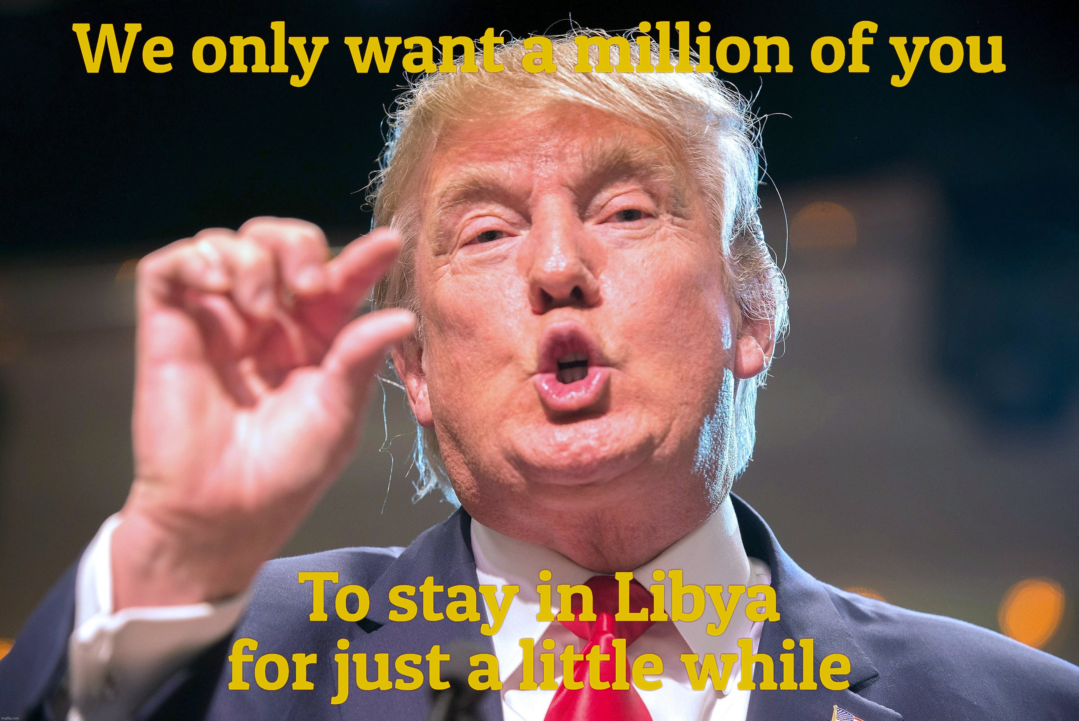 Perhaps some boycott plans are not as thoroughly thought out as well as they should be on Election Day. | We only want a million of you; To stay in Libya for just a little while | image tagged in trump,deporting palestinians to libya,good going michigan,islamics boycotted kamala,buyer's remorse yet,derp | made w/ Imgflip meme maker