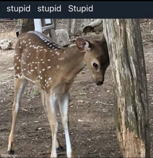 Just like me fr?!?!?!!??!!???11?1 | made w/ Imgflip meme maker