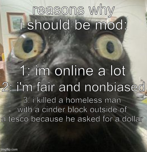 pleas | reasons why i should be mod:; 1: im online a lot; 2: i'm fair and nonbiased; 3: i killed a homeless man with a cinder block outside of a tesco because he asked for a dollar | made w/ Imgflip meme maker