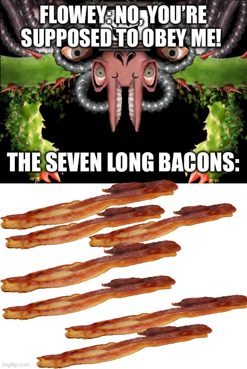 Bacon | FLOWEY: NO, YOU’RE SUPPOSED TO OBEY ME! THE SEVEN LONG BACONS: | image tagged in omega flowey,bacon,undertale | made w/ Imgflip meme maker