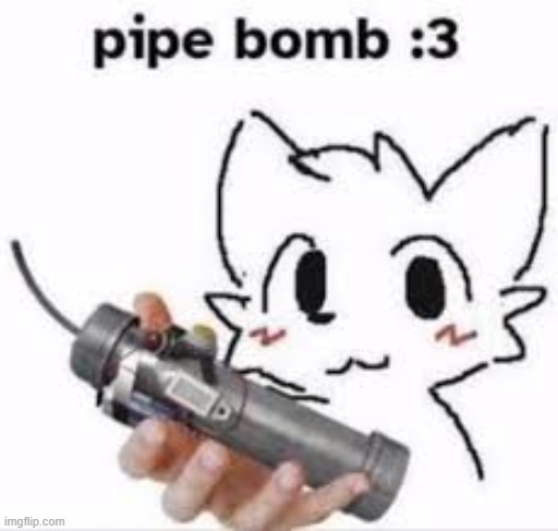 boykisser pipe bomb | image tagged in boykisser pipe bomb | made w/ Imgflip meme maker