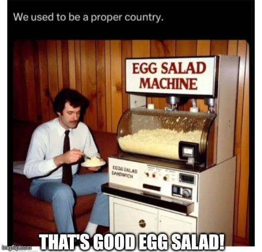 Make America Great Again | THAT'S GOOD EGG SALAD! | image tagged in maga,egg,salad | made w/ Imgflip meme maker