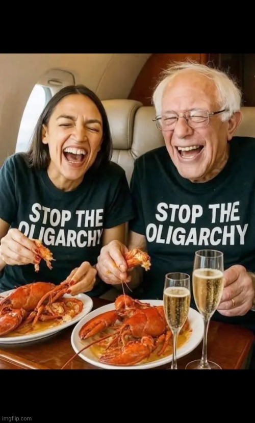 They're a disgrace | image tagged in liars,libtards,morons,traitors | made w/ Imgflip meme maker