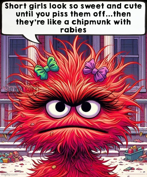 Short girls | image tagged in girls,short,chipmunk,cute | made w/ Imgflip meme maker