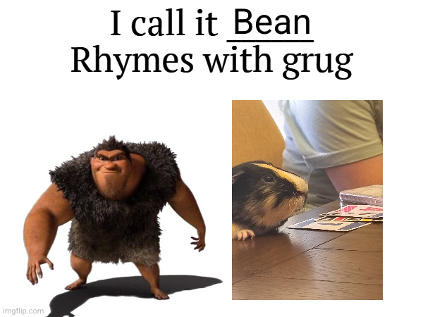best whooping us in phase 10 | Bean | image tagged in i call it _____,bean,phase 10,cards,grug,rhymes with grug | made w/ Imgflip meme maker