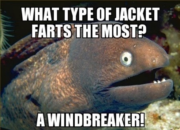 Windbreaker | image tagged in farts,fart jokes,fish,bad joke,funny memes,jacket | made w/ Imgflip meme maker