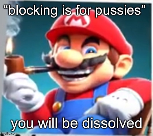 mario evilishly smoking pipe | “blocking is for pussies”; you will be dissolved | image tagged in mario evilishly smoking pipe | made w/ Imgflip meme maker