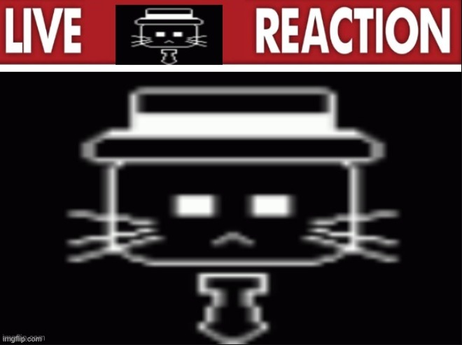 live ash foster reaction (ty braindead for the template :3) | image tagged in live ash foster reaction,memes,meme,funny,ash,template | made w/ Imgflip meme maker