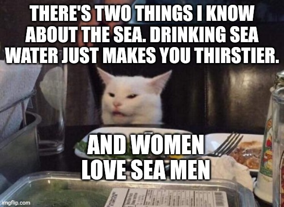 Smudge that darn cat | THERE'S TWO THINGS I KNOW ABOUT THE SEA. DRINKING SEA WATER JUST MAKES YOU THIRSTIER. AND WOMEN LOVE SEA MEN | image tagged in smudge that darn cat | made w/ Imgflip meme maker