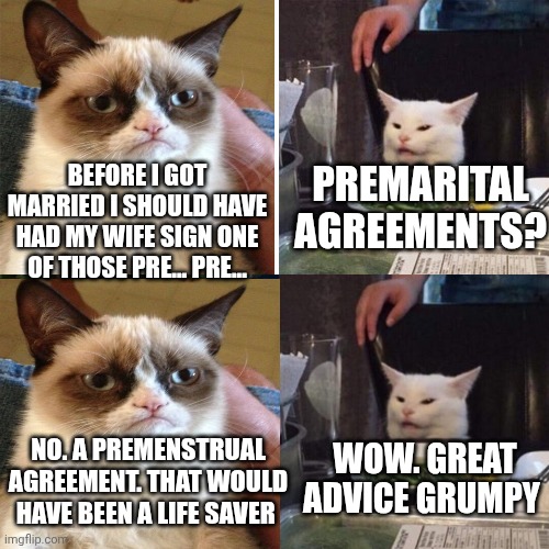 PREMARITAL AGREEMENTS? BEFORE I GOT MARRIED I SHOULD HAVE HAD MY WIFE SIGN ONE OF THOSE PRE... PRE... WOW. GREAT ADVICE GRUMPY; NO. A PREMENSTRUAL AGREEMENT. THAT WOULD HAVE BEEN A LIFE SAVER | image tagged in smudge that darn cat with karen,memes,woman yelling at cat | made w/ Imgflip meme maker