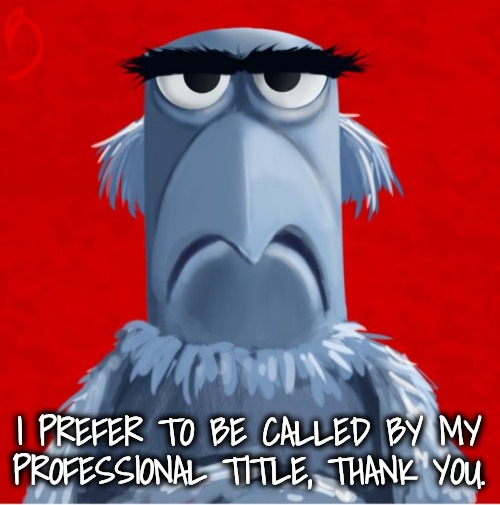 Sam Eagle Stern Face | I PREFER TO BE CALLED BY MY PROFESSIONAL TITLE, THANK YOU. | image tagged in sam eagle stern face | made w/ Imgflip meme maker