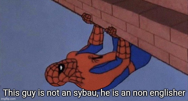 do you see this shit blank | This guy is not an sybau, he is an non englisher | image tagged in do you see this shit blank | made w/ Imgflip meme maker
