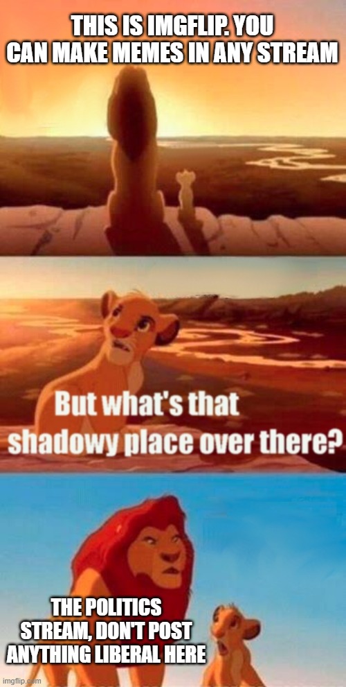 Making Fun Of Imgflip Again | THIS IS IMGFLIP. YOU CAN MAKE MEMES IN ANY STREAM; THE POLITICS STREAM, DON'T POST ANYTHING LIBERAL HERE | image tagged in memes,simba shadowy place,funny,imgflip | made w/ Imgflip meme maker