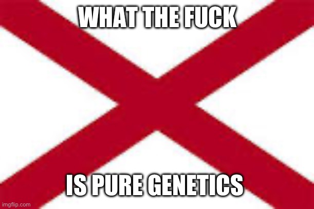 Alabama Flag | WHAT THE FUCK IS PURE GENETICS | image tagged in alabama flag | made w/ Imgflip meme maker