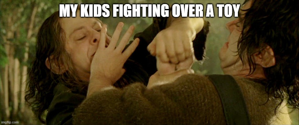 MY KIDS FIGHTING OVER A TOY | image tagged in lotr,kids,so true | made w/ Imgflip meme maker