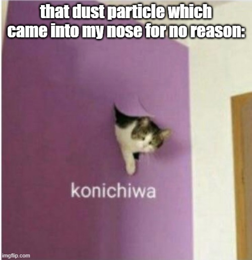 Crap! I gotta AACHOOOOO- | that dust particle which came into my nose for no reason: | image tagged in konichiwa,funny,memes,dust,sneezing,relatable | made w/ Imgflip meme maker