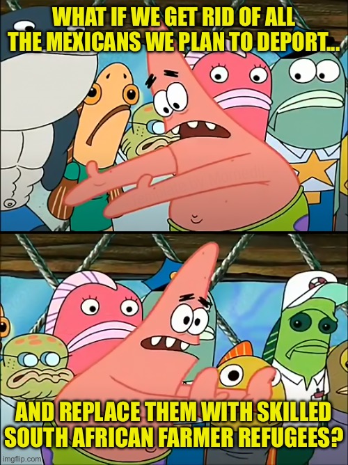 It's SO OBVIOUS | WHAT IF WE GET RID OF ALL THE MEXICANS WE PLAN TO DEPORT... AND REPLACE THEM WITH SKILLED SOUTH AFRICAN FARMER REFUGEES? | image tagged in what if we patrick | made w/ Imgflip meme maker