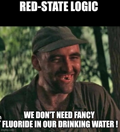 fluoride | RED-STATE LOGIC; WE DON'T NEED FANCY 
FLUORIDE IN OUR DRINKING WATER ! | image tagged in trump hillbilly | made w/ Imgflip meme maker