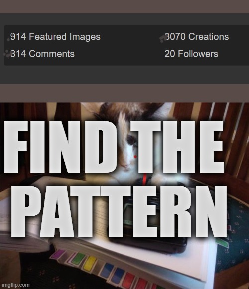 still on imgflip | FIND THE 
PATTERN | image tagged in math cat | made w/ Imgflip meme maker