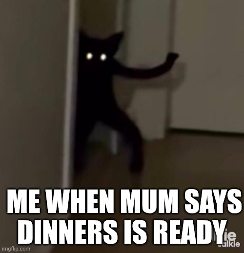 Fr? | ME WHEN MUM SAYS DINNERS IS READY | image tagged in funny memes,funny animals | made w/ Imgflip meme maker