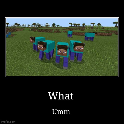 Meme ummm | What | Umm | image tagged in funny,demotivationals | made w/ Imgflip demotivational maker